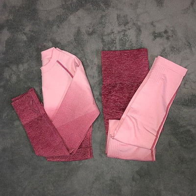 Women Yoga Set Gym Workout Clothing Set - Detox Store