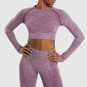 Yoga Set Gym Clothing Fitness Leggings+Cropped Shirts Sport Suit - Detox Store