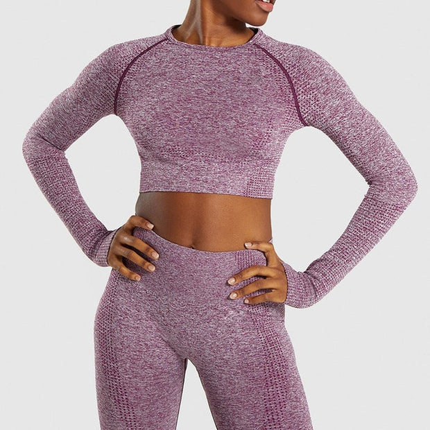 Yoga Set Gym Clothing Fitness Leggings+Cropped Shirts Sport Suit - Detox Store