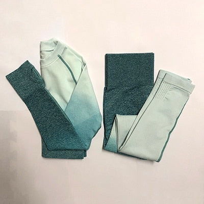 Women Yoga Set Gym Workout Clothing Set - Detox Store