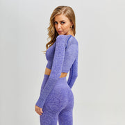 Yoga Set Gym Clothing Fitness Leggings+Cropped Shirts Sport Suit - Detox Store